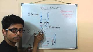 Chromosomal mutations  deletion mutation [upl. by Dosh]