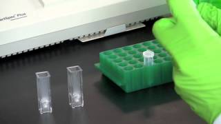 DNA Quantitation Using a Spectrophotometer [upl. by Spenser]