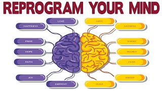 Dr Joe Dispenza  Learn How to Reprogram Your Mind [upl. by Hamaso858]