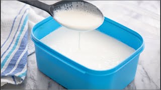 How to Make Yogurt From Scratch With Just 3 Ingredients  BONUS BREAKFAST RECIPE  ZEELICIOUS FOODS [upl. by Yrevi]