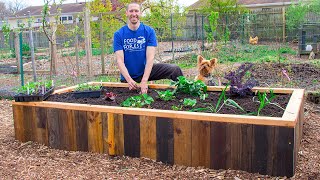 How to Build a RAISED BED Using PALLETS FREE Backyard Gardening [upl. by Puttergill782]