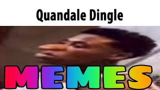 Quandale Dingle Memes [upl. by Noj]