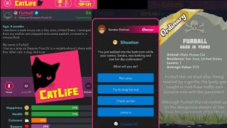 CatLife Game Gameplay [upl. by Acino235]