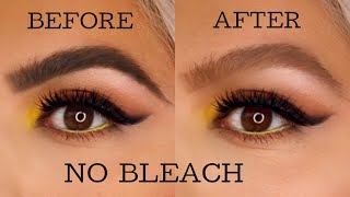 How to lighten your eyebrows at home  NO BLEACH [upl. by Myers738]