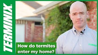 How Do Termites Enter the Home [upl. by Lorrayne120]