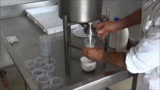 YOGURT MAKER FOR MINI DAIRY HOW TO MAKE YOGURT [upl. by Haidadej583]