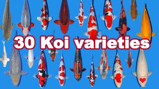 30 Koi Fish varieties types and characteristics [upl. by Sand]