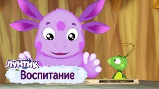 Воспитание ⚡ Лунтик ⚡ Сборник мультфильмов 2019 [upl. by Ursi]