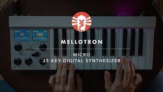 Mellotron Micro  Synthesizer  Vintage King [upl. by Fante]