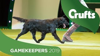 Gamekeepers Competition Final  Crufts 2019 [upl. by Eveleen]