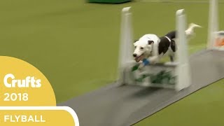 Flyball  YKC Final  Crufts 2018 [upl. by Nnylyaj]