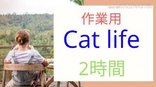 作業用【Cat life】2時間 [upl. by Bakerman]