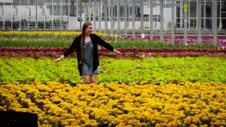 Ready for a Career in Floriculture or Horticulture [upl. by Nawuq]