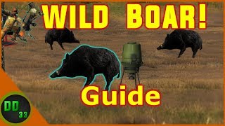 How To HUNT WILD BOAR TheHunter Classic [upl. by Creighton496]