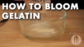 How to Bloom Gelatin  Tutorial Video [upl. by Rehpotsihc]