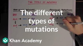 The different types of mutations  Biomolecules  MCAT  Khan Academy [upl. by Reemas]