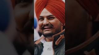 justiceforshubdeepsinghsidhu SidhuMooseWalaOfficial viralshortvideo shortviralvideo short [upl. by Alusru385]