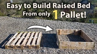 How to Build a Raised Bed from 1 Pallet FREE and Easy [upl. by Yendor893]