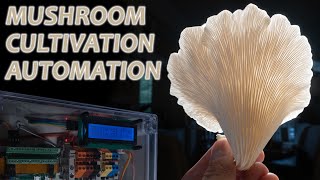 Mushroom Cultivation Automation DIY From Foraging to Fruiting [upl. by Lehrer]