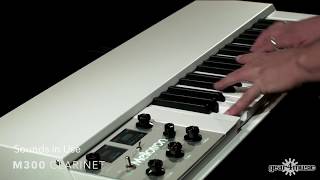 Mellotron M4000D Mini [upl. by Willett]