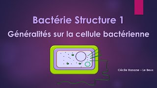 Bactérie Structure 1 BACTERIE [upl. by Moore]