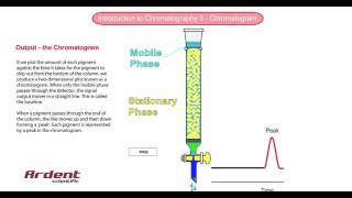 Introduction to Chromatography 5  Chromatogram [upl. by Terrijo]